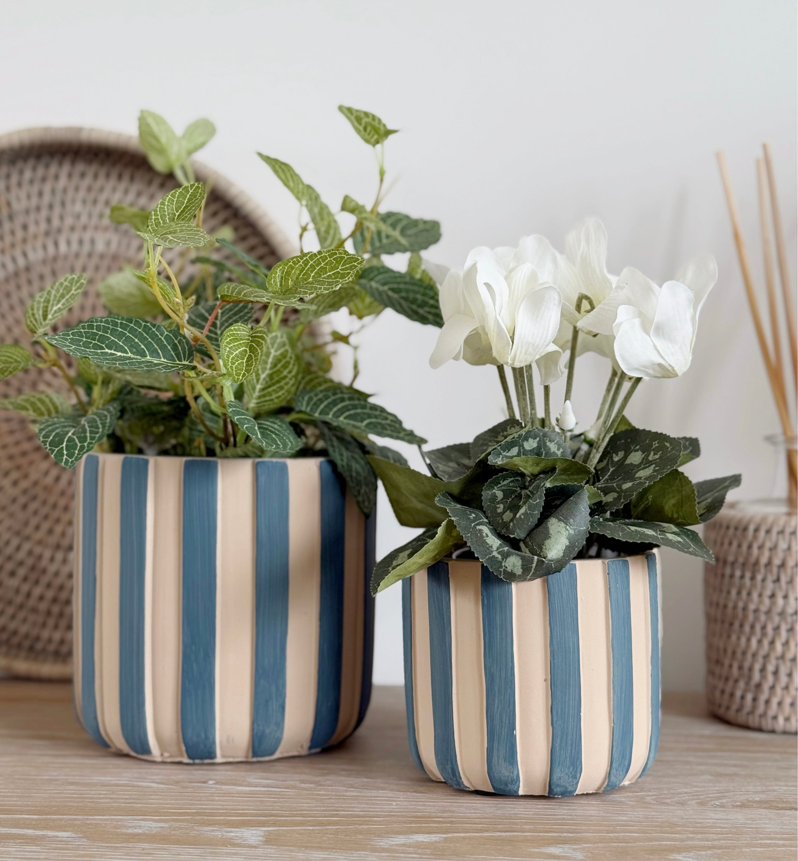 Blue Stripe Pot