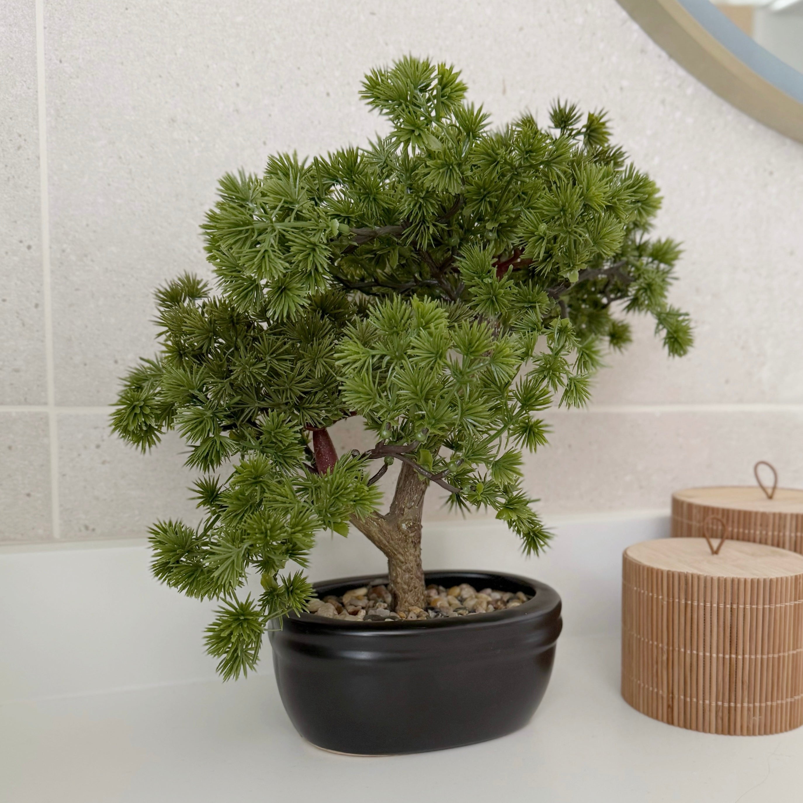 desktop bonsai tree Potted Pine Bonsai Tree – Daisy Daze Homeware