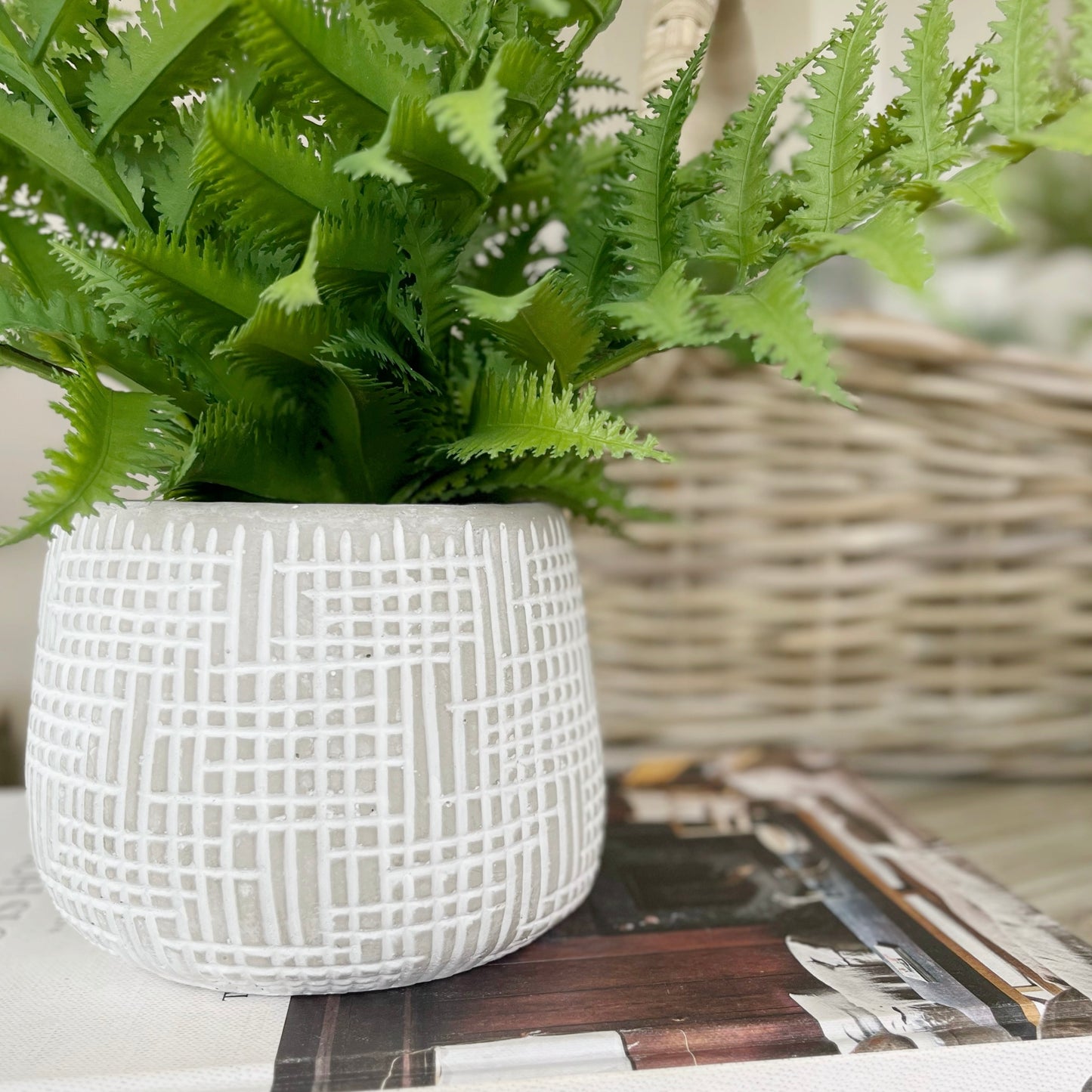 Potted Faux Fern