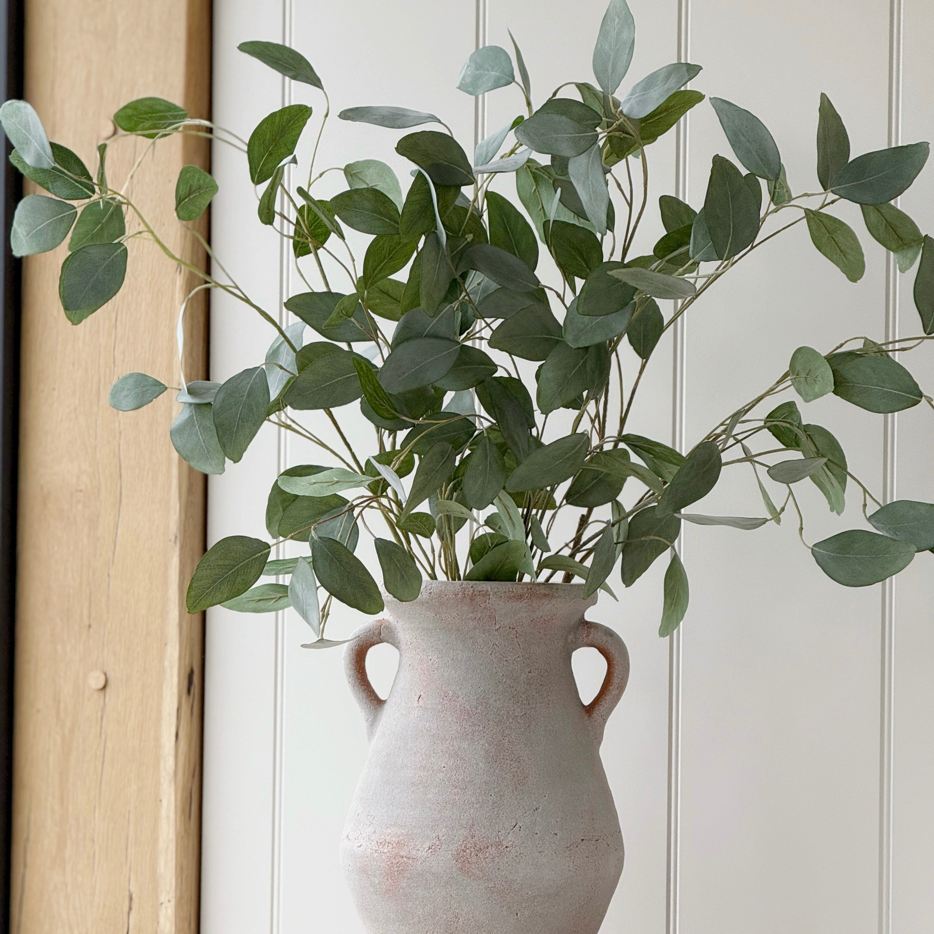 Silver Dollar Eucalyptus Spray
