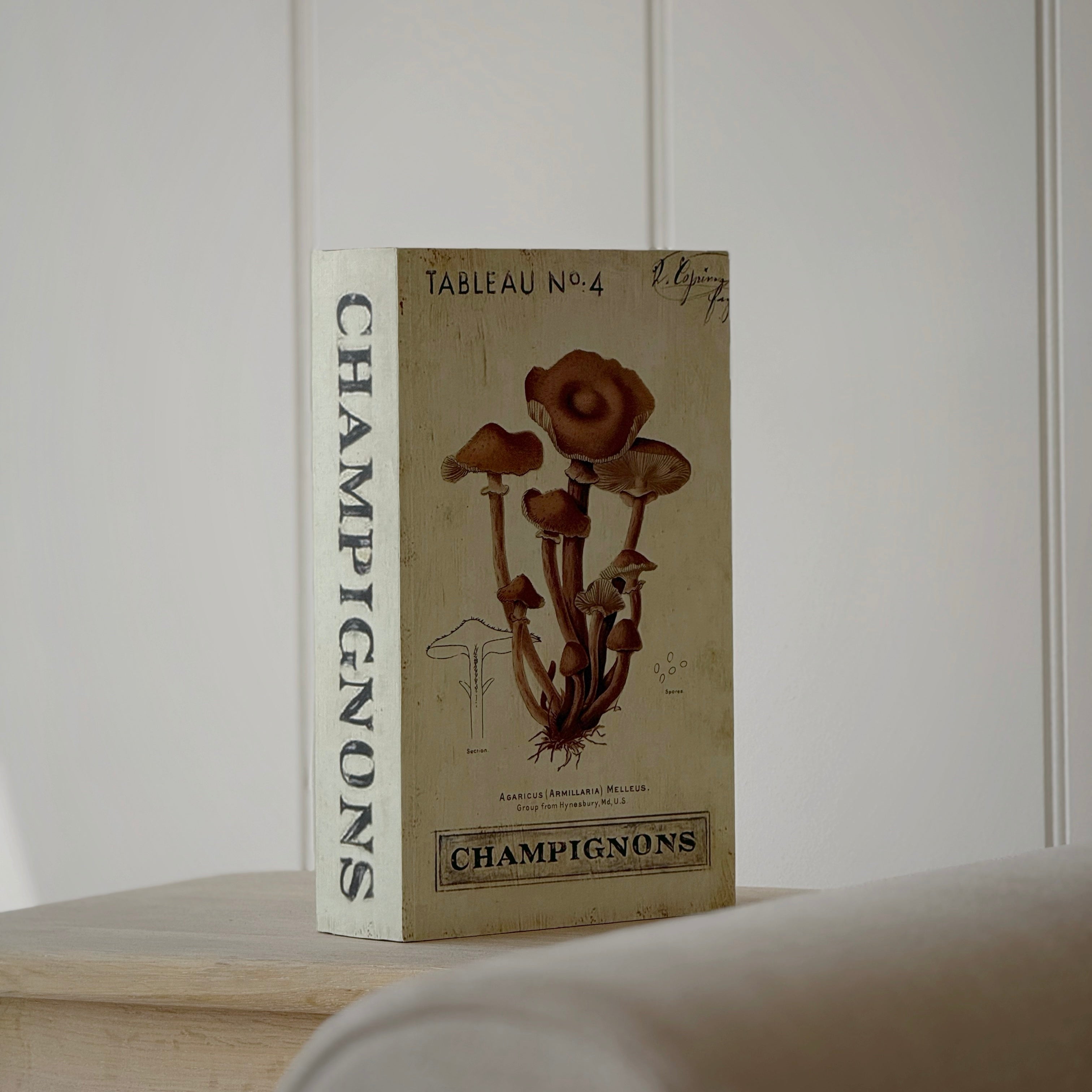Autumn Wooden Storage Book