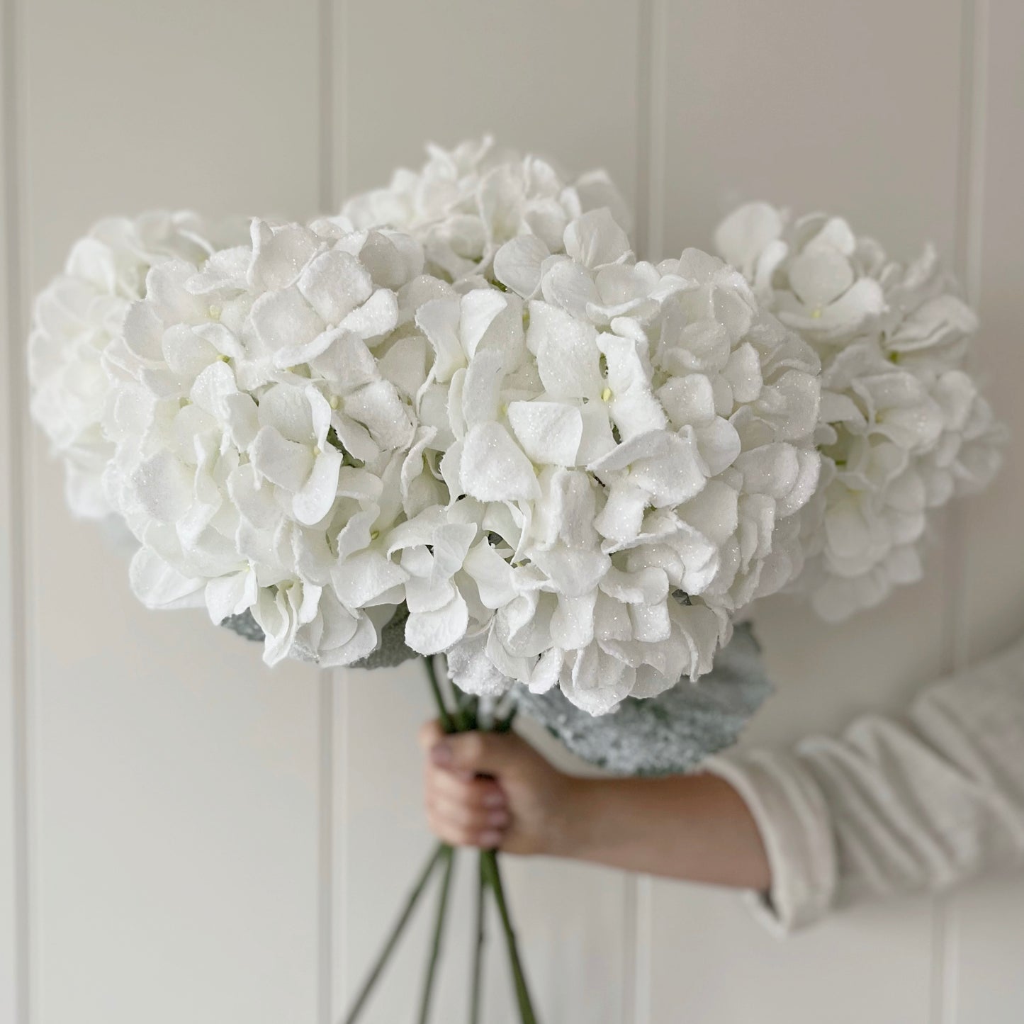 Snowstorm Hydrangea