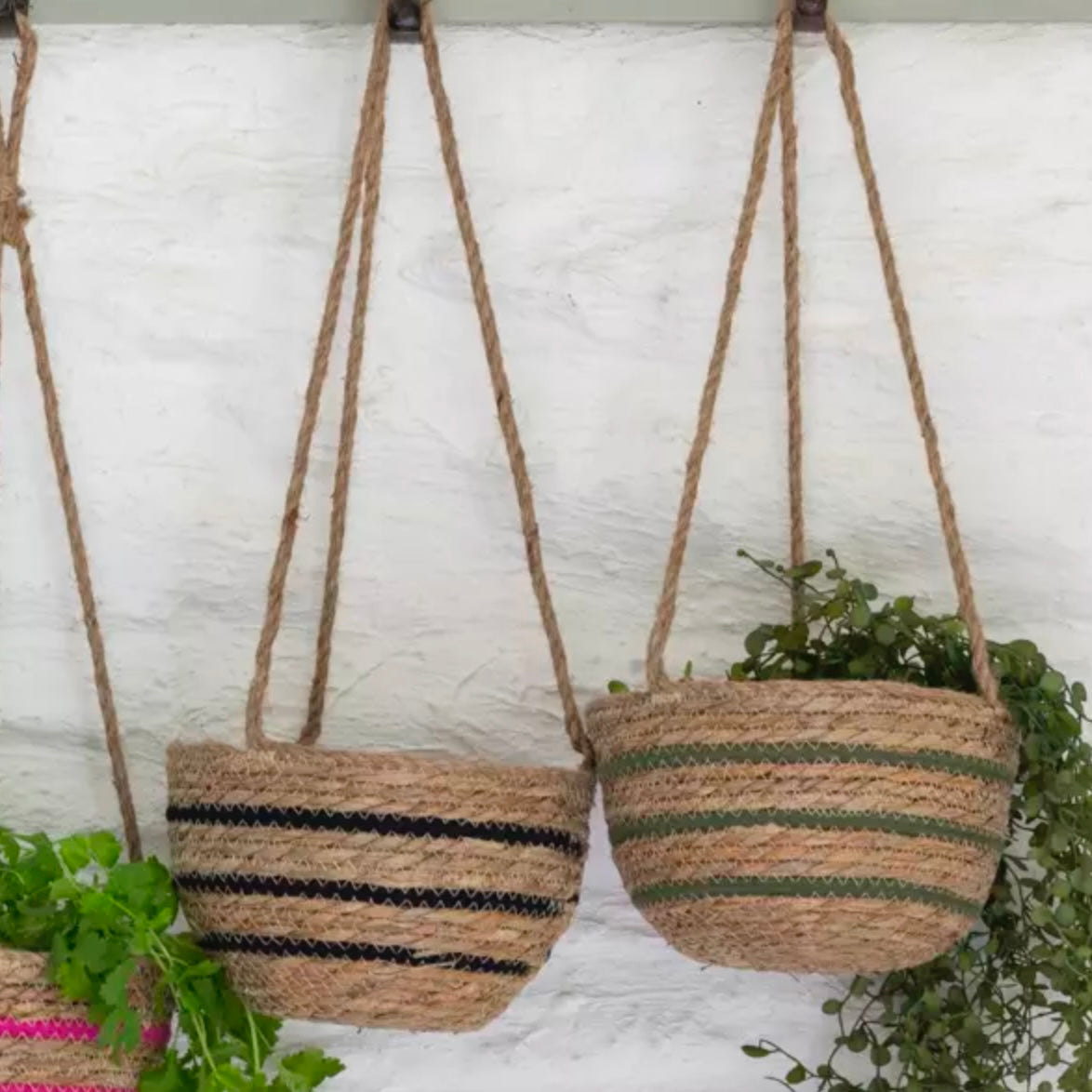 Green Stripe Seagrass Hanging Basket