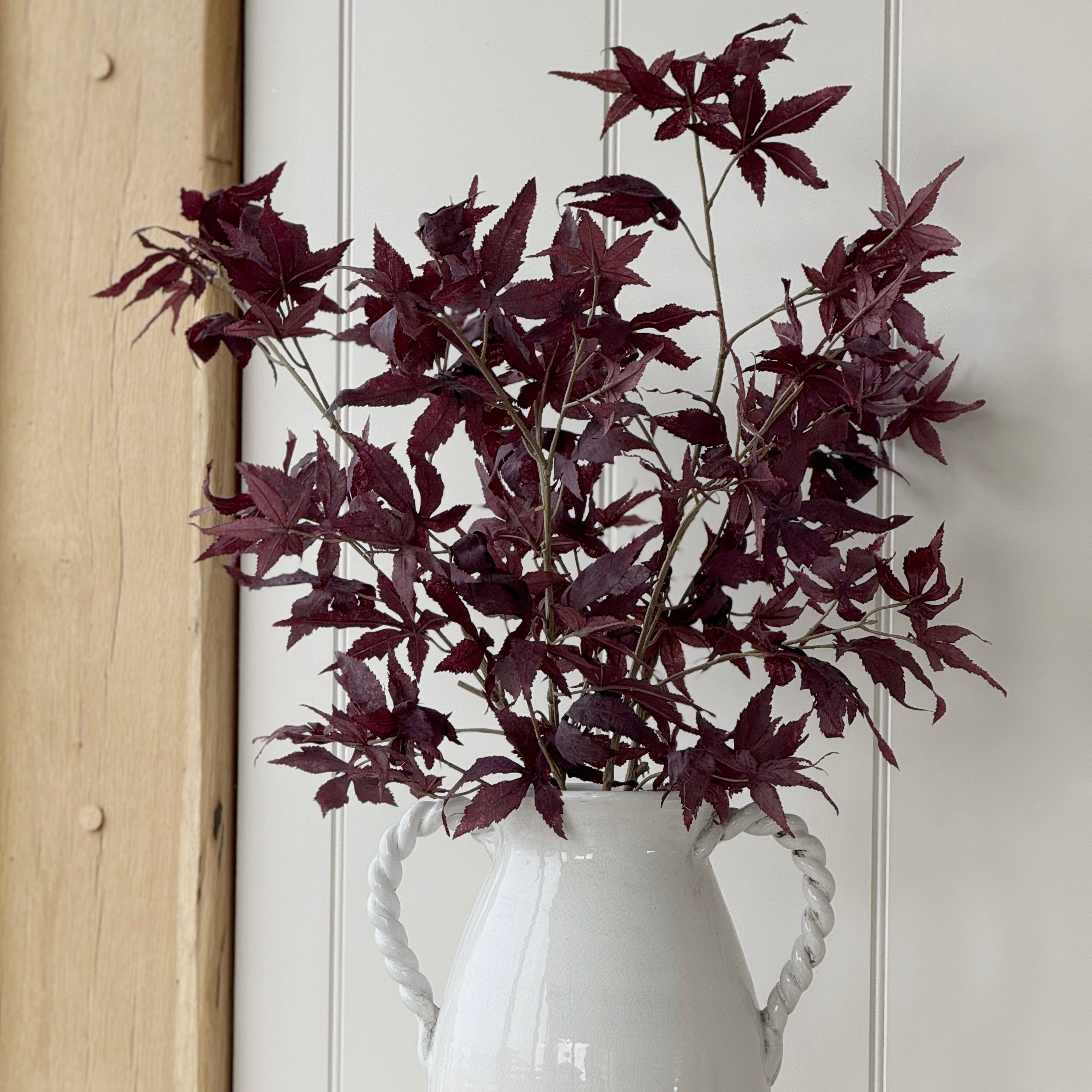 Burgundy Acer Stem