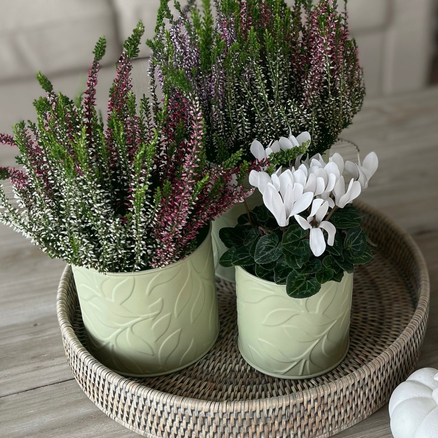 Set Of 3 Sage Planters