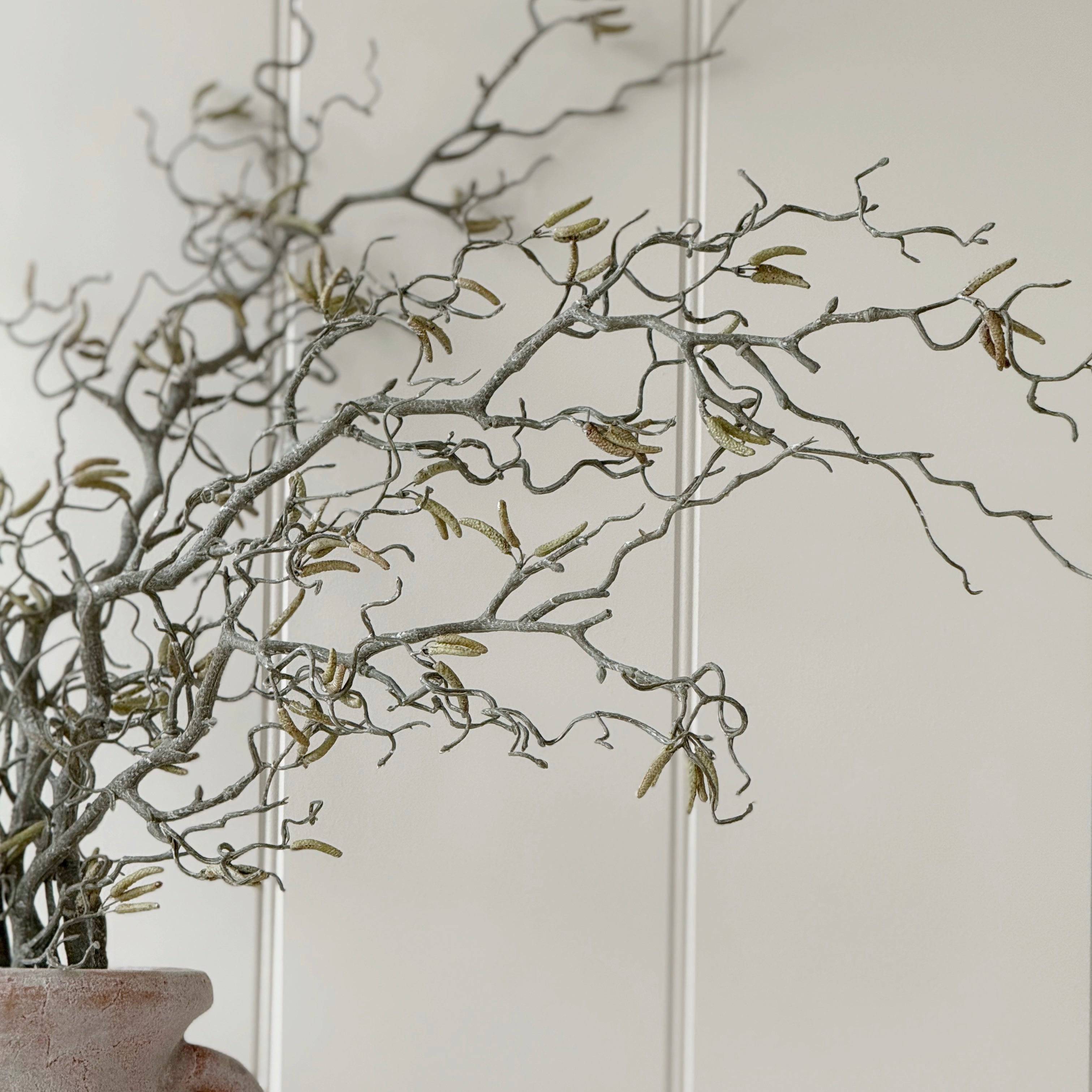 Willow Branch