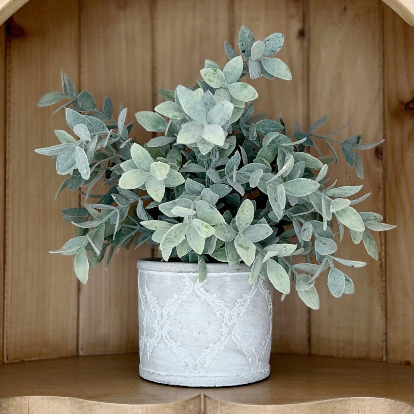 Dusky Potted Sage