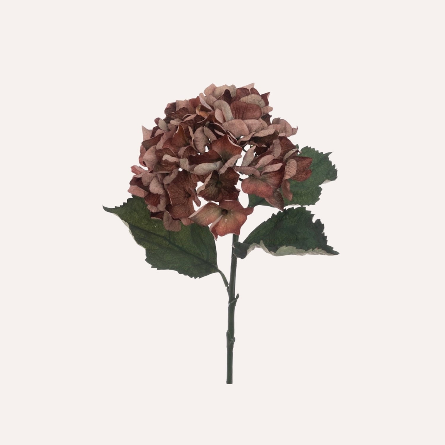 Burgundy Hydrangea Stem