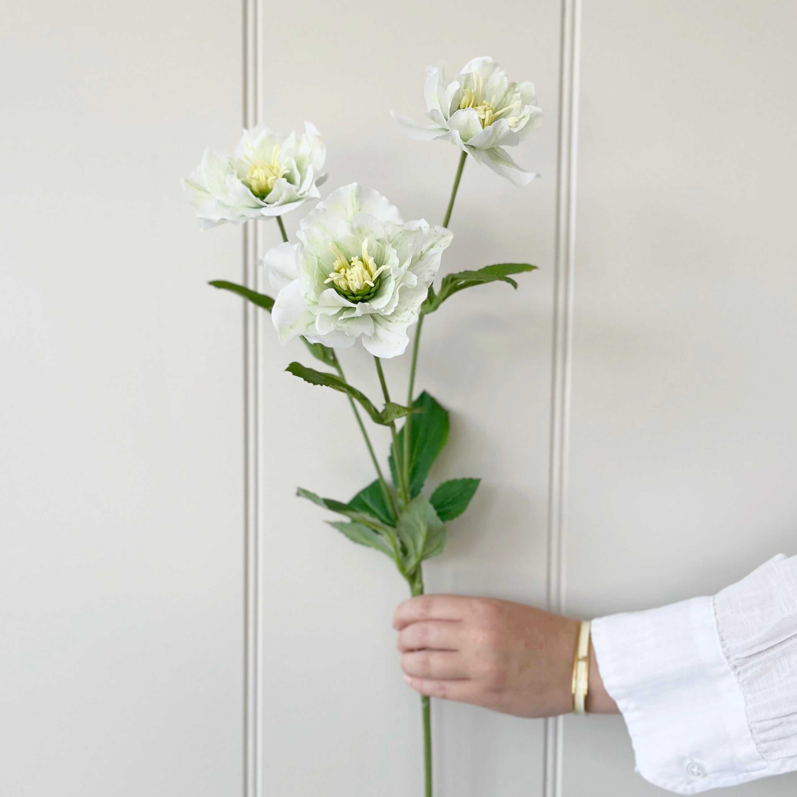 White Hellebore Spray