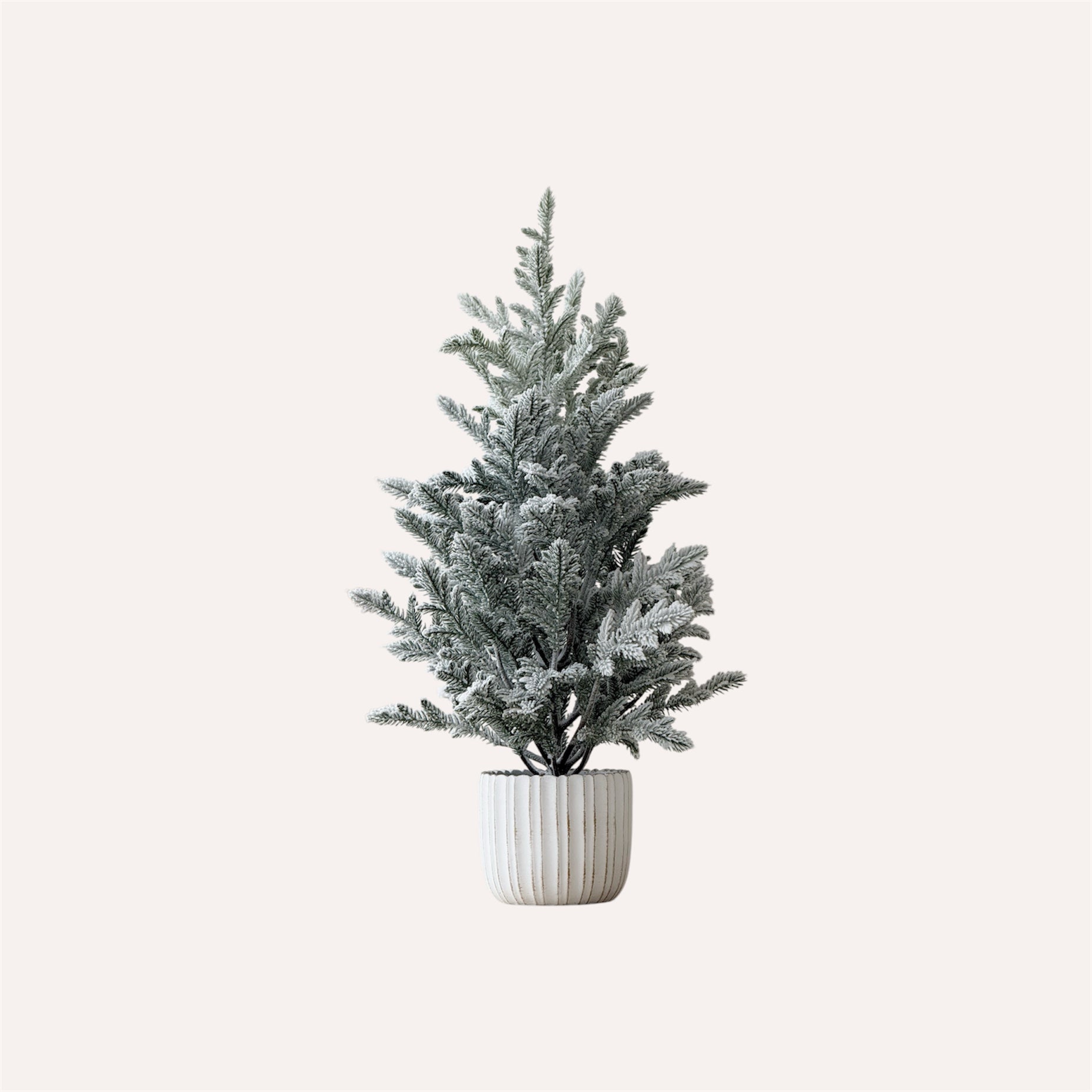 Snowy Potted Pine Tree