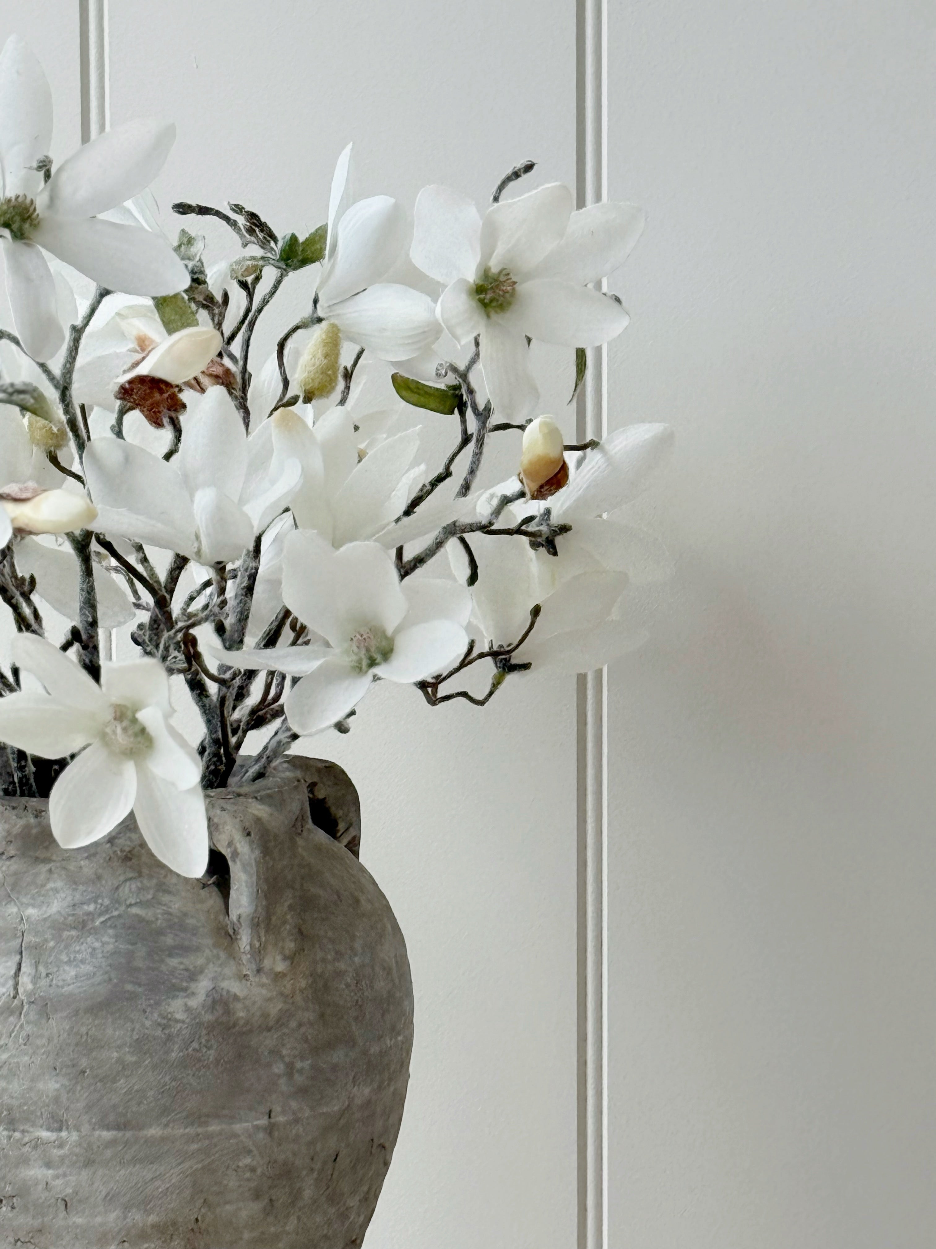 Frosty Magnolia Stem