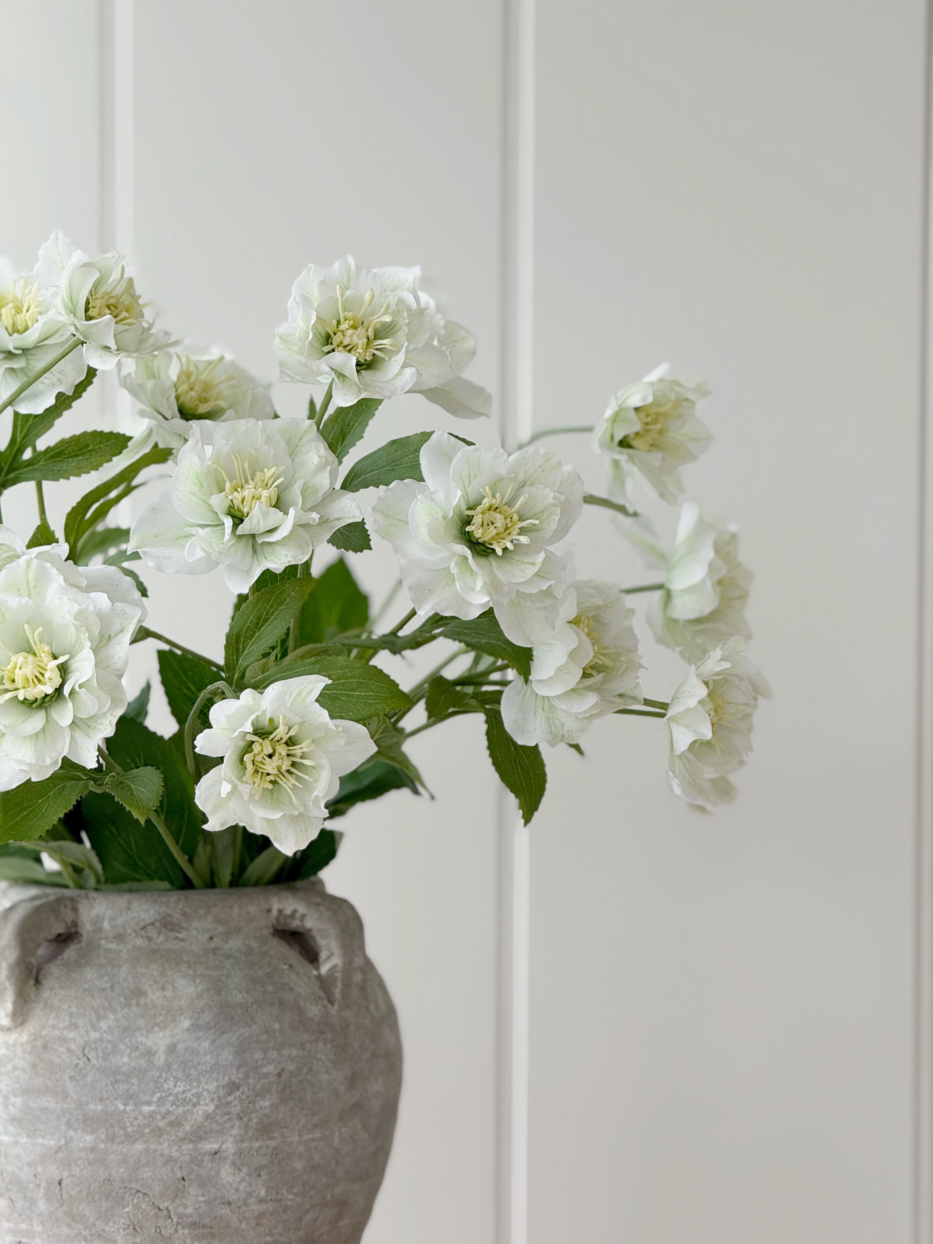 White Hellebore Spray