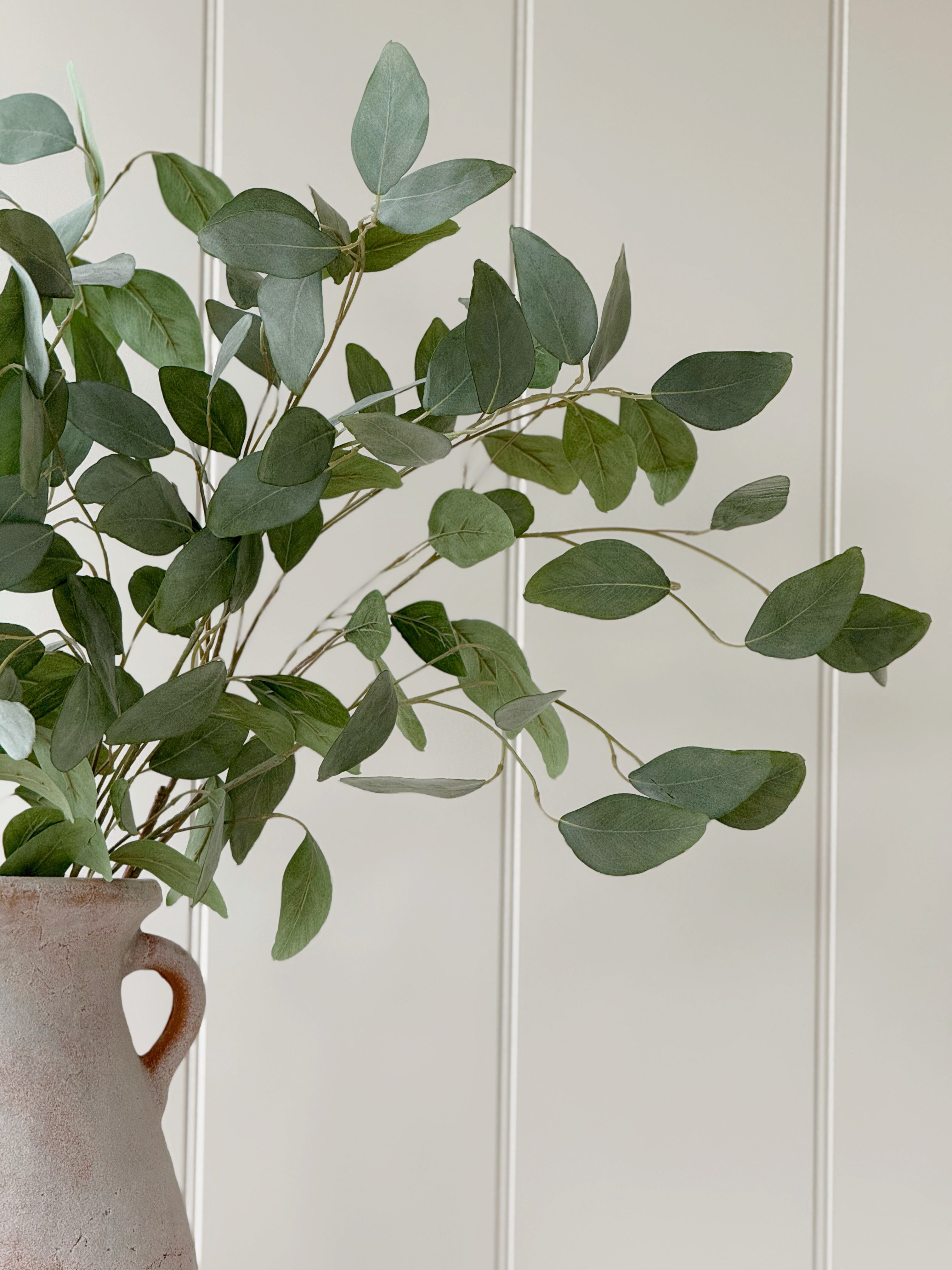 Silver Dollar Eucalyptus Spray