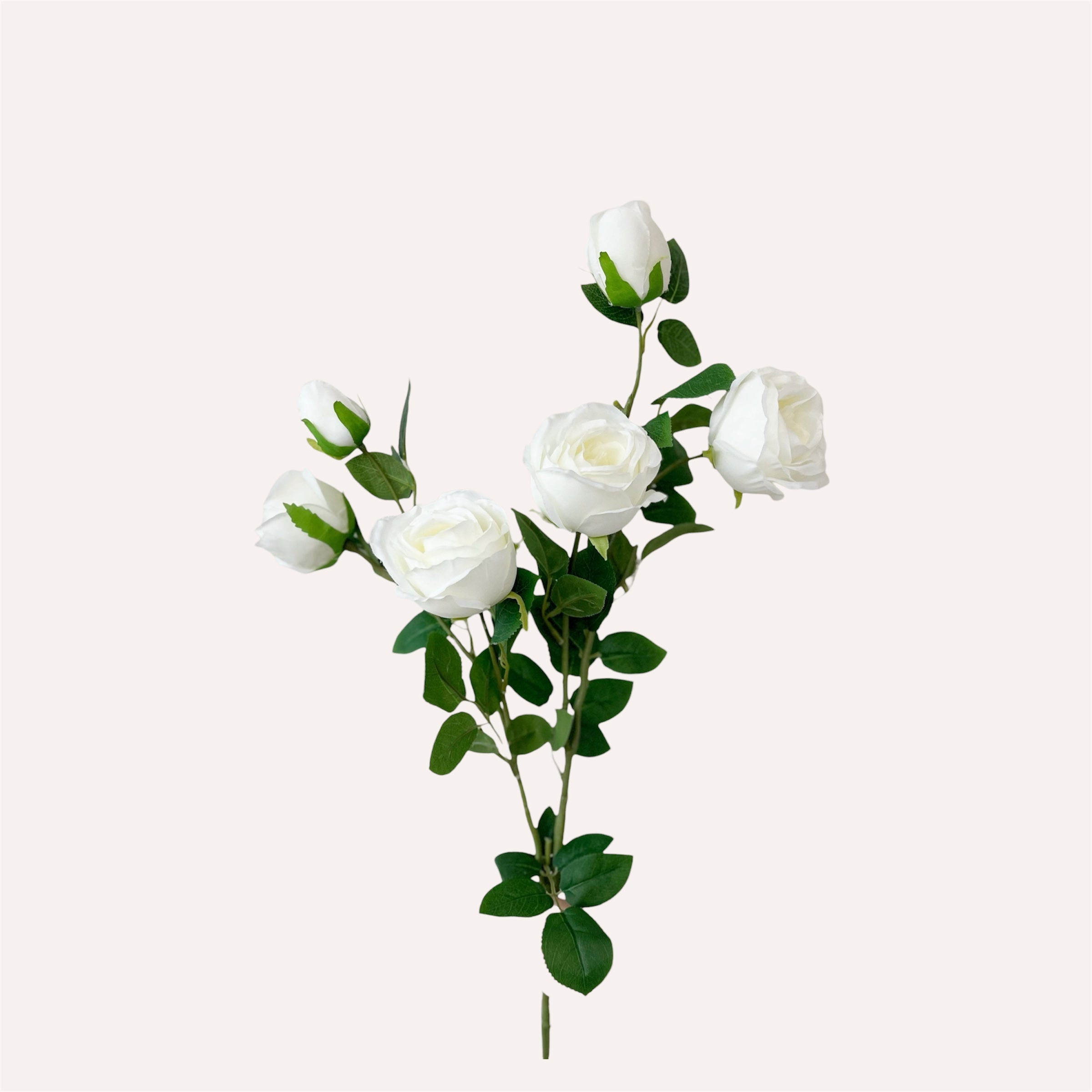 White Gemma Rose Spray