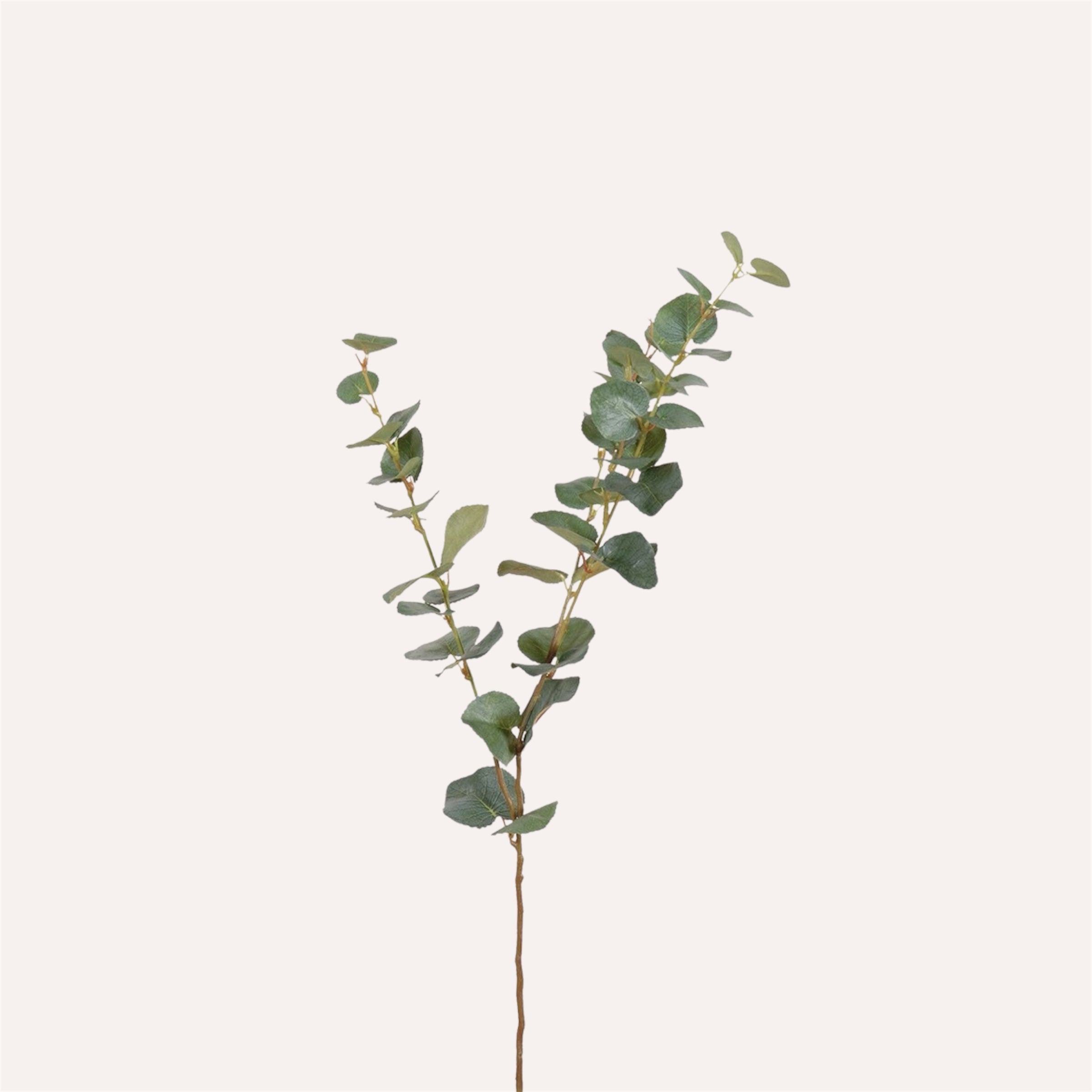 Natural Eucalyptus Spray