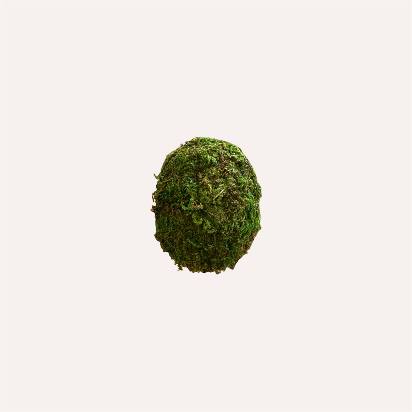 6 Green Moss Eggs