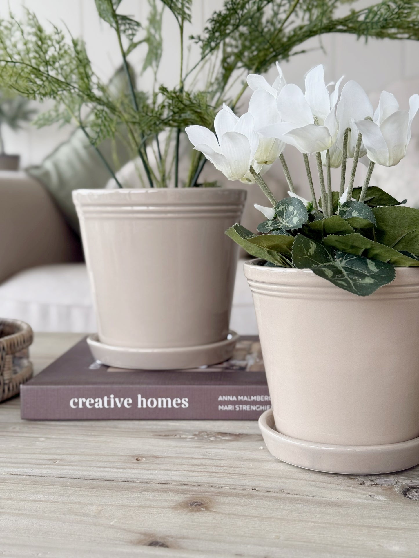 Beige Emelina Pot With Saucer
