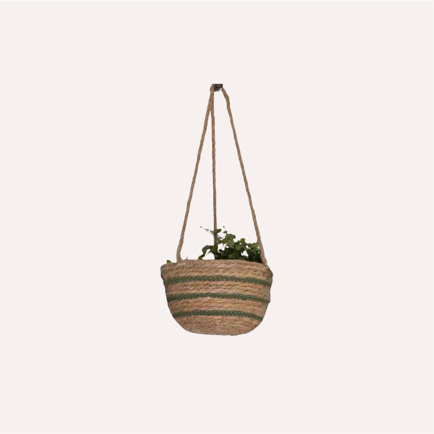 Green Stripe Seagrass Hanging Basket