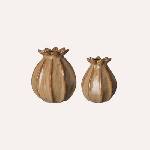 Natural Poppy Vase
