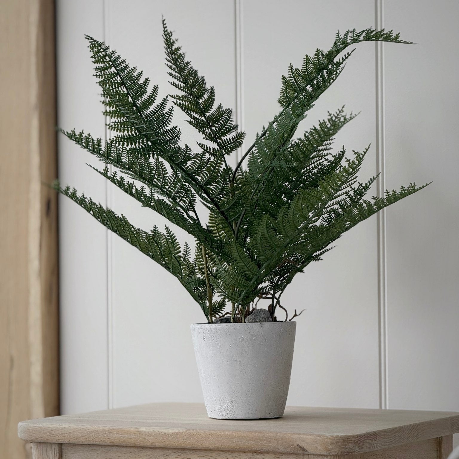 Bracken Fern Plant Pot