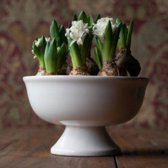 Imperfect Meryl Bowl