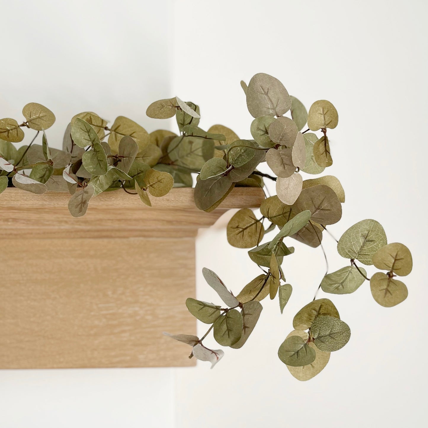 Green Eucalyptus Garland