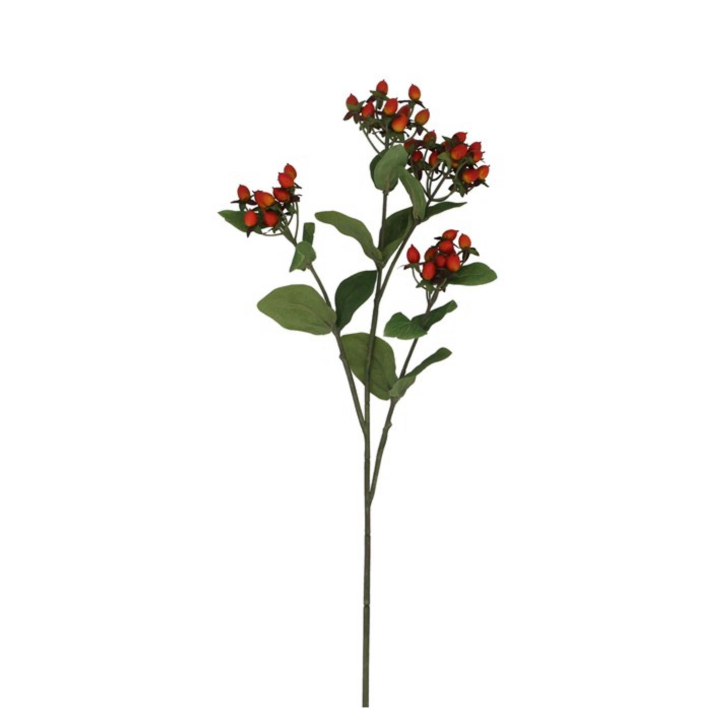Dark Orange Berry Spray