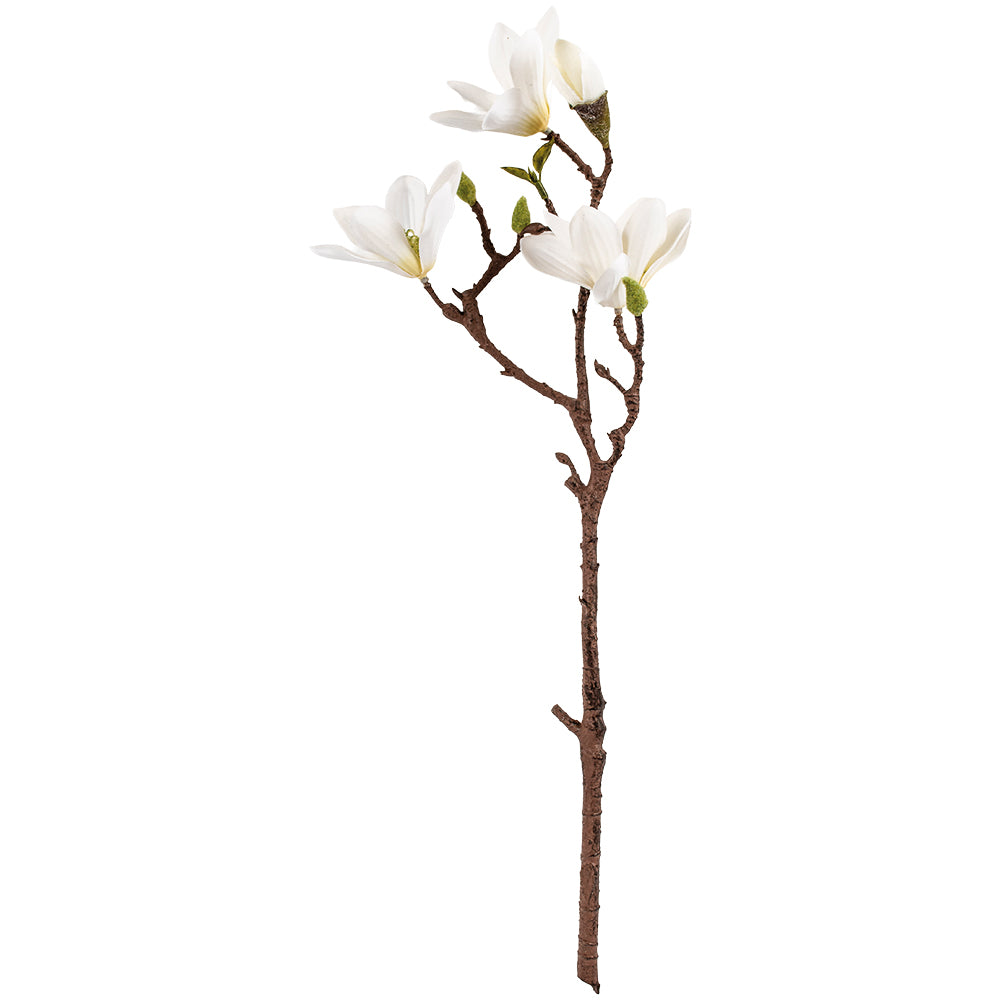 White Magnolia