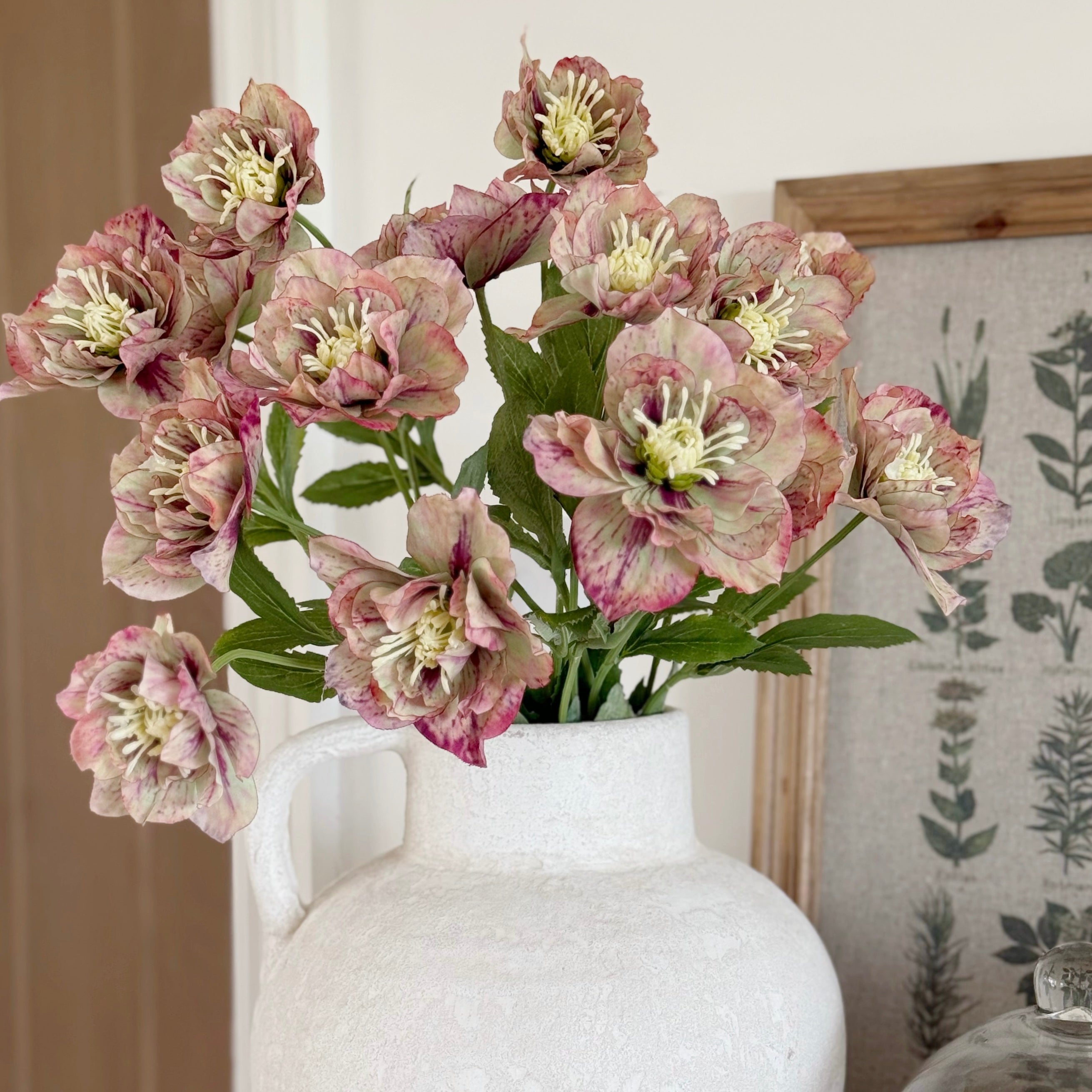 Mauve Hellebore Spray