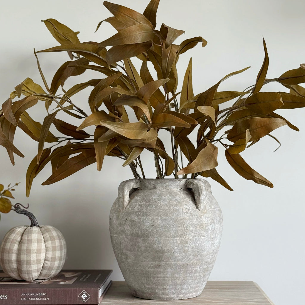 Long Leaf Eucalyptus