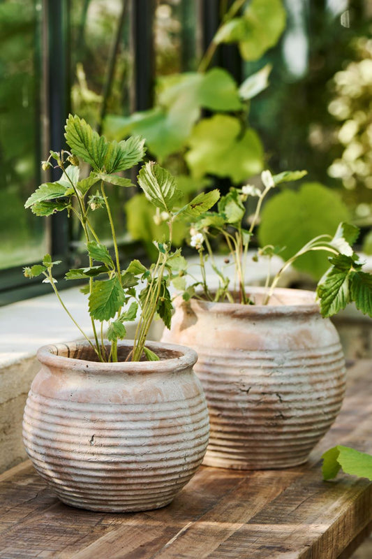 Small Margot Pot