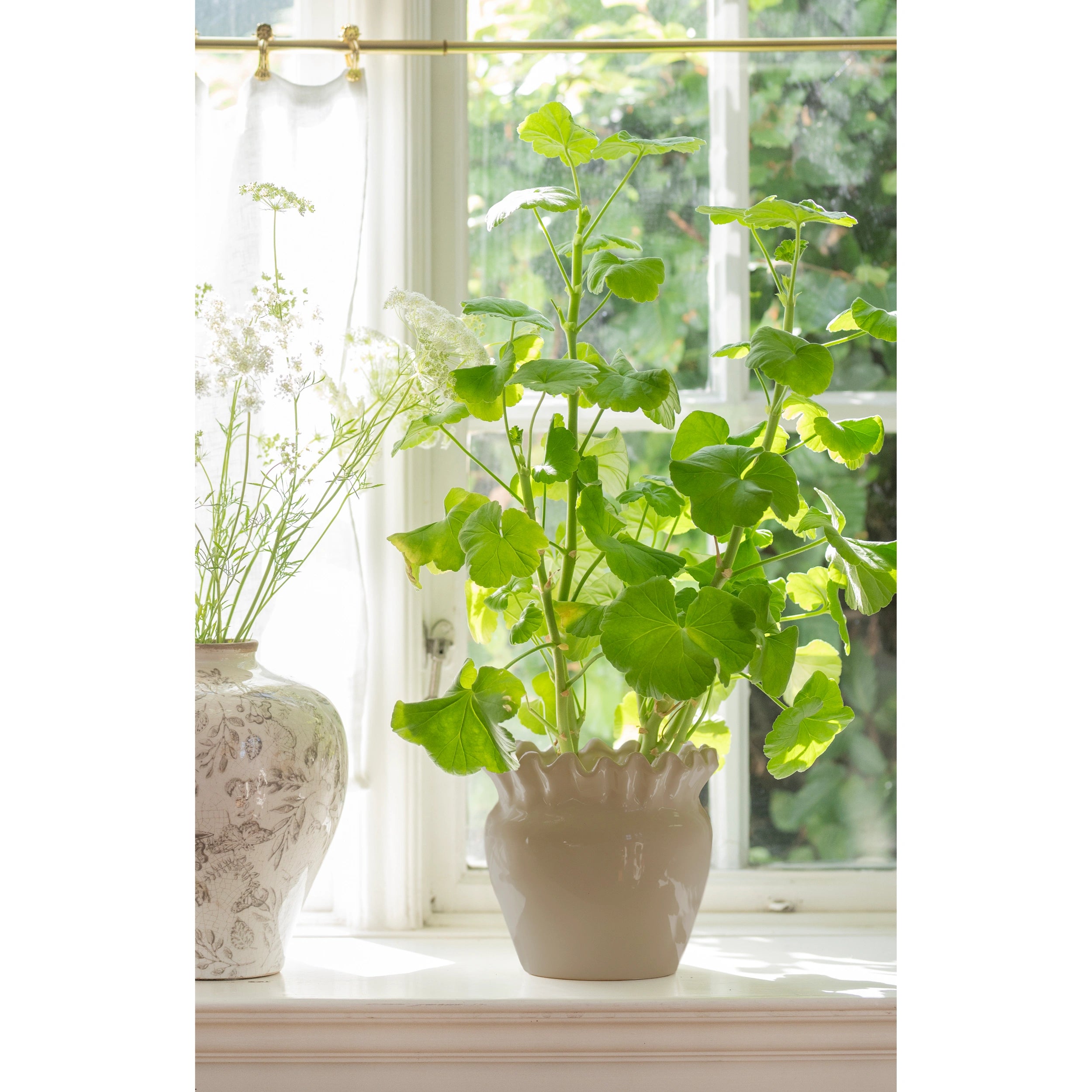 Imperfect Beige Evelina Pot