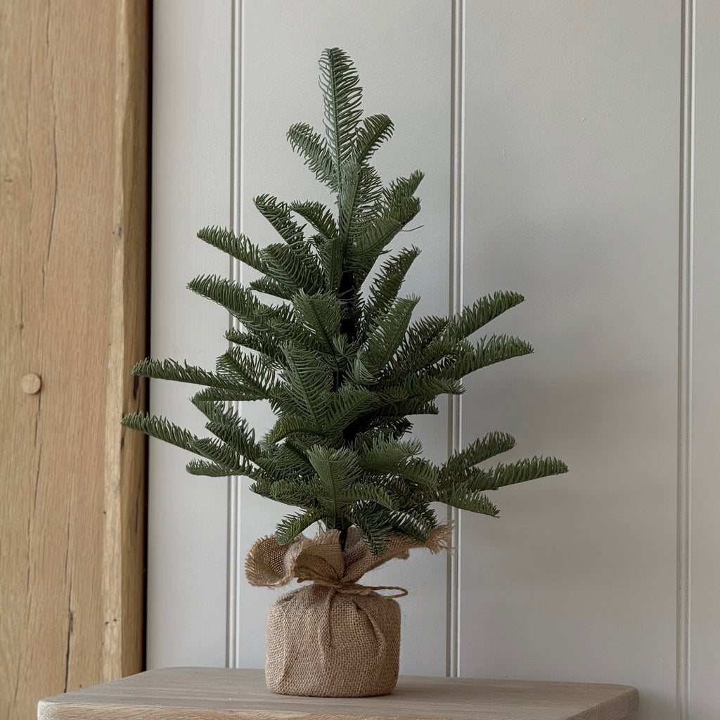 Pine Tree In Burlap 50cm