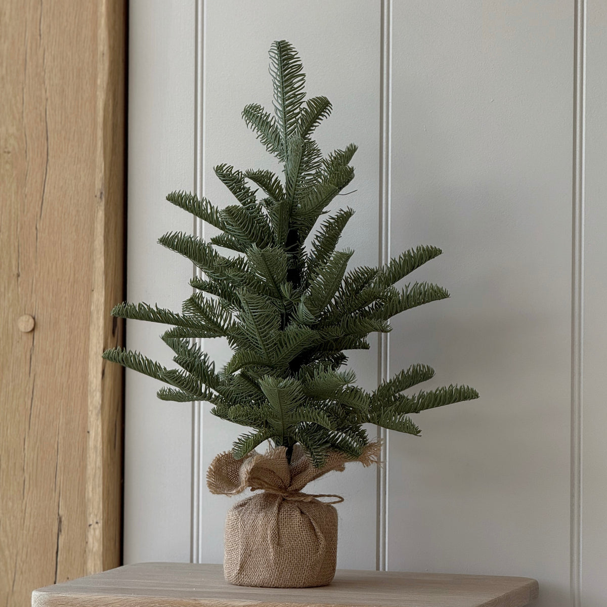 Pine Tree In Burlap 50cm