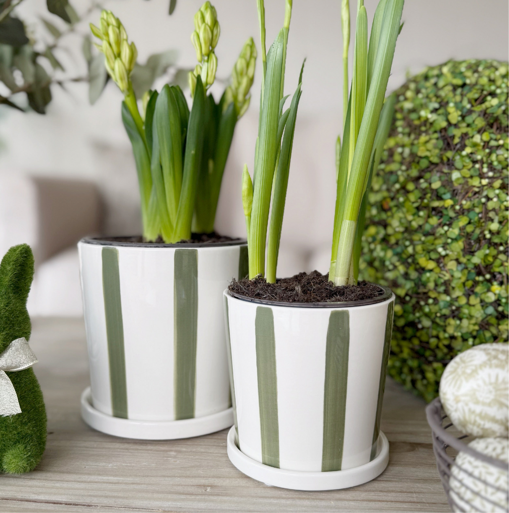 Striped Green Planter With Saucer