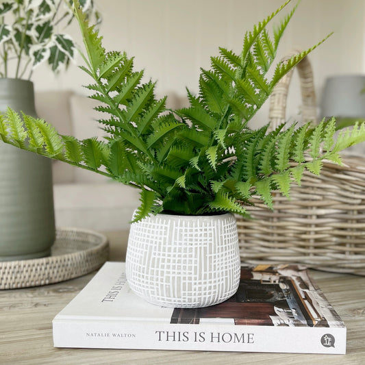 Potted Faux Fern