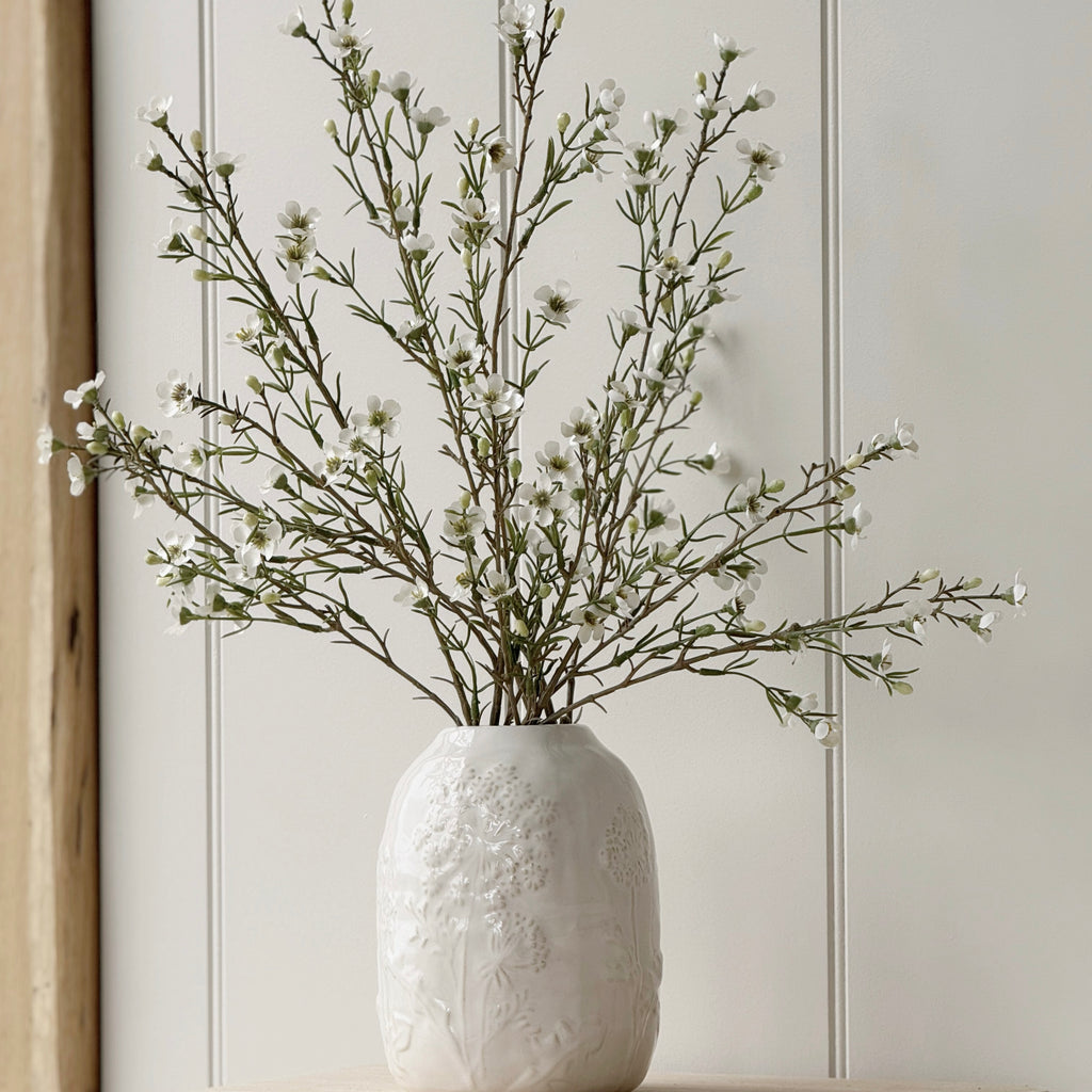 White Wax Flower