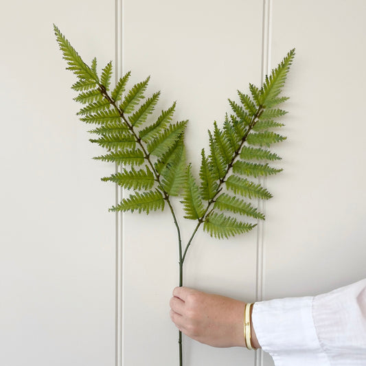 Fern Spray