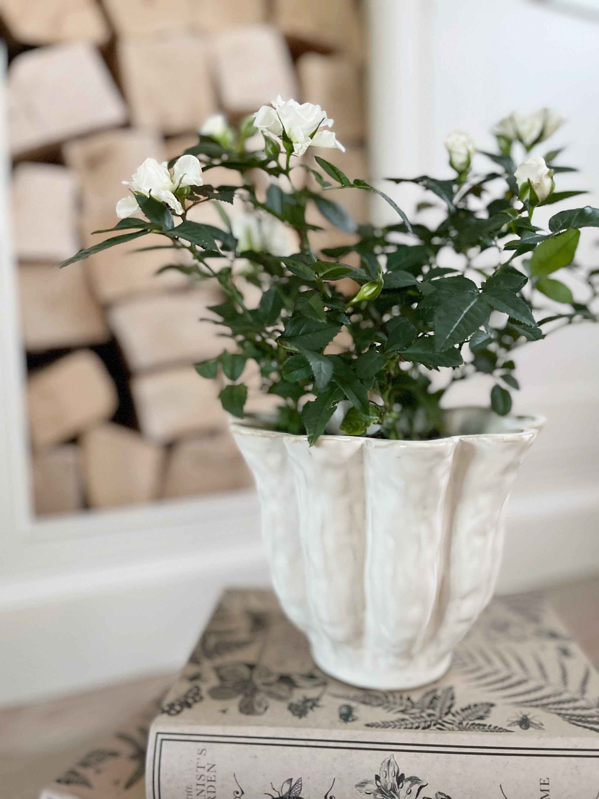 Malin Pot