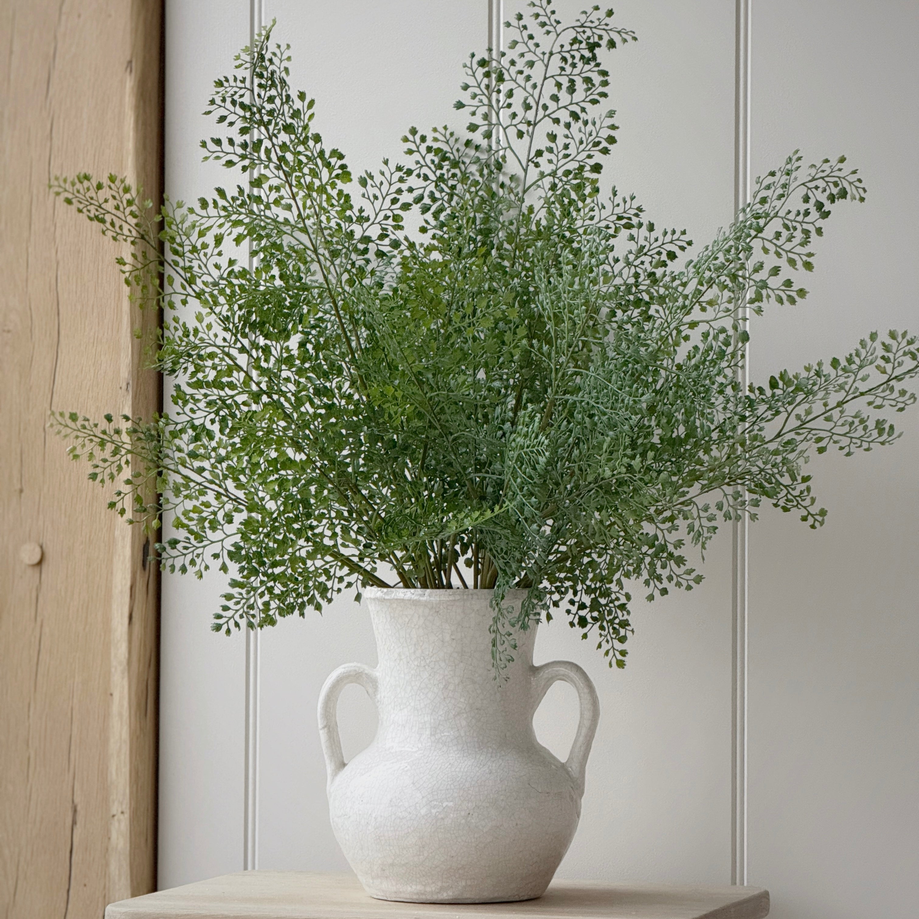 Maidenhair Fern Bush