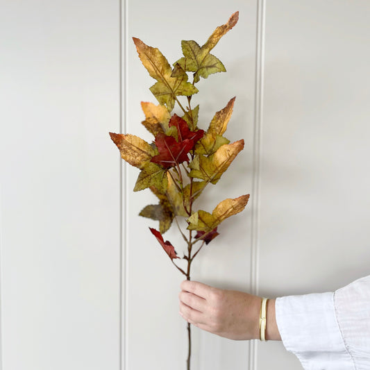 Autumn Maple Stem