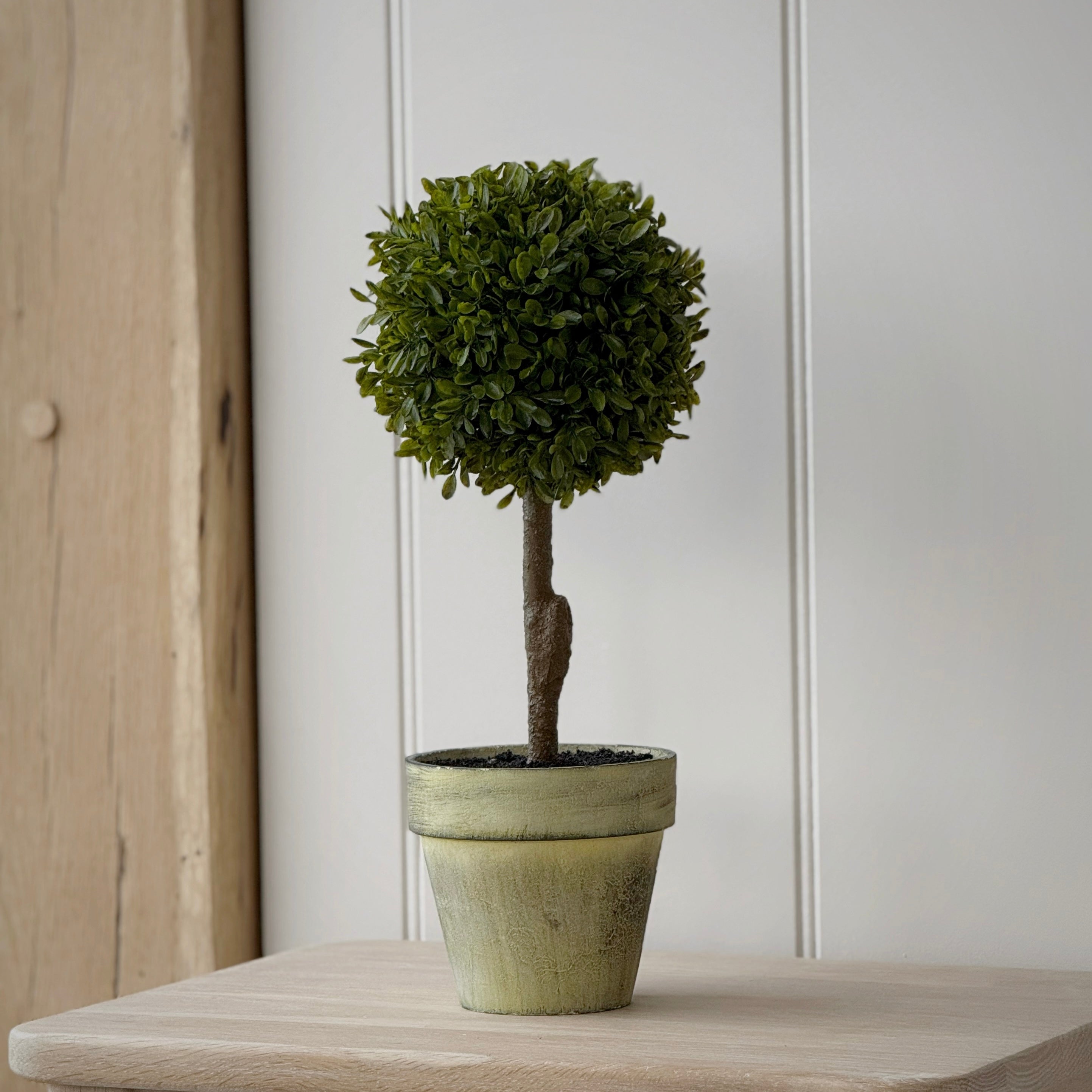 Mini Boxwood Ball In Pot