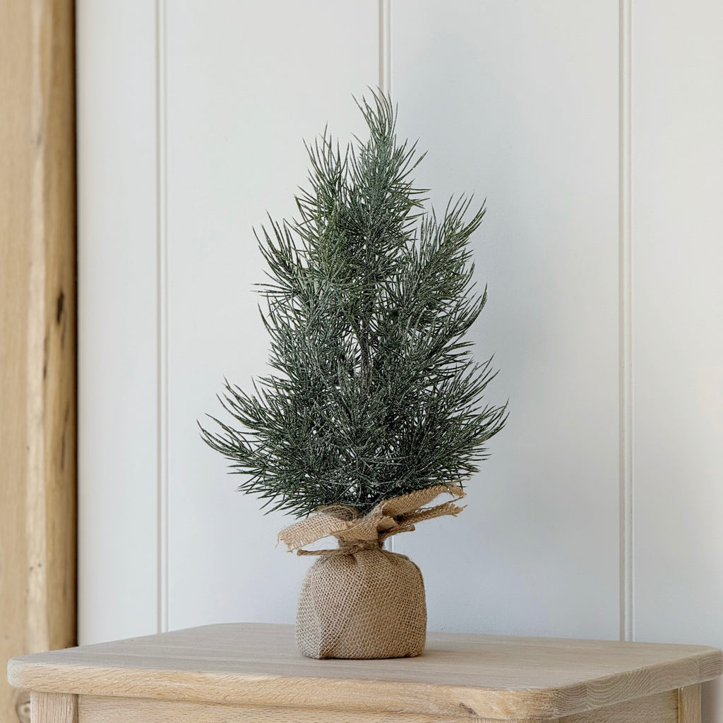Frosted Pine Tree