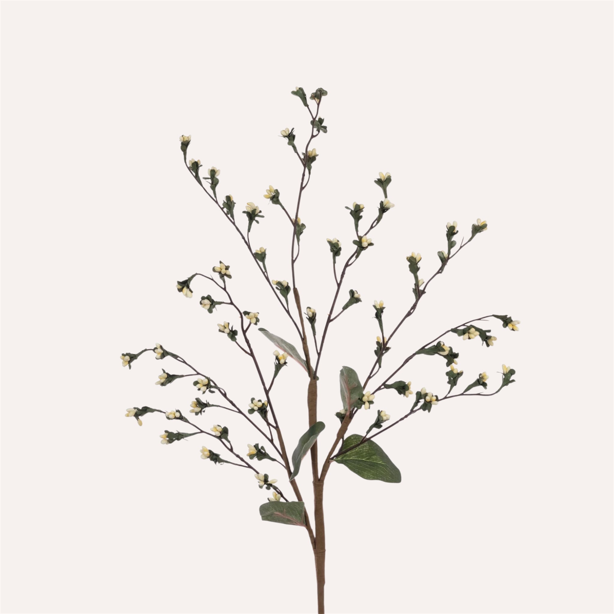Gypsum Berry Spray
