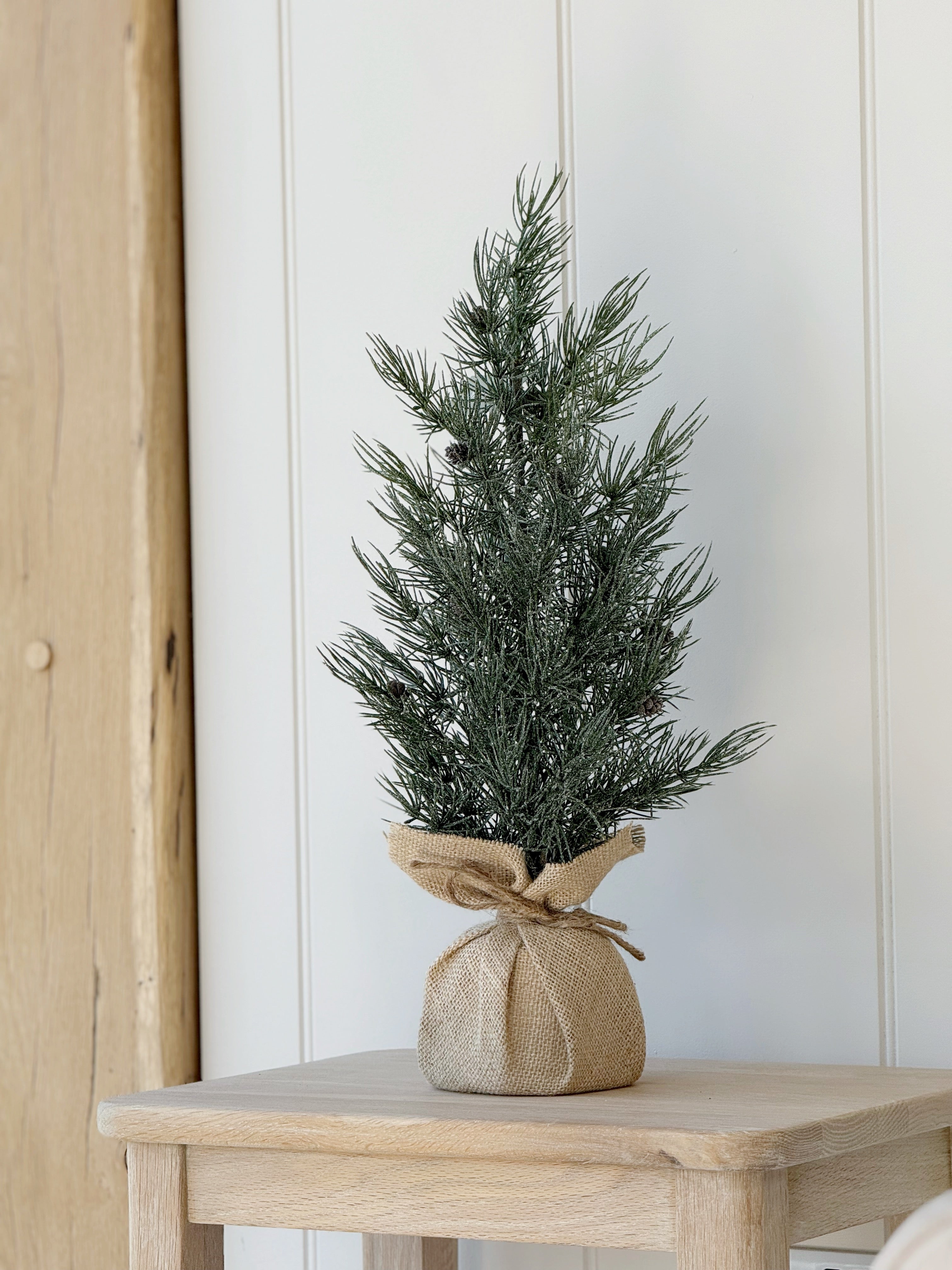 Tall Frosted Pine Tree
