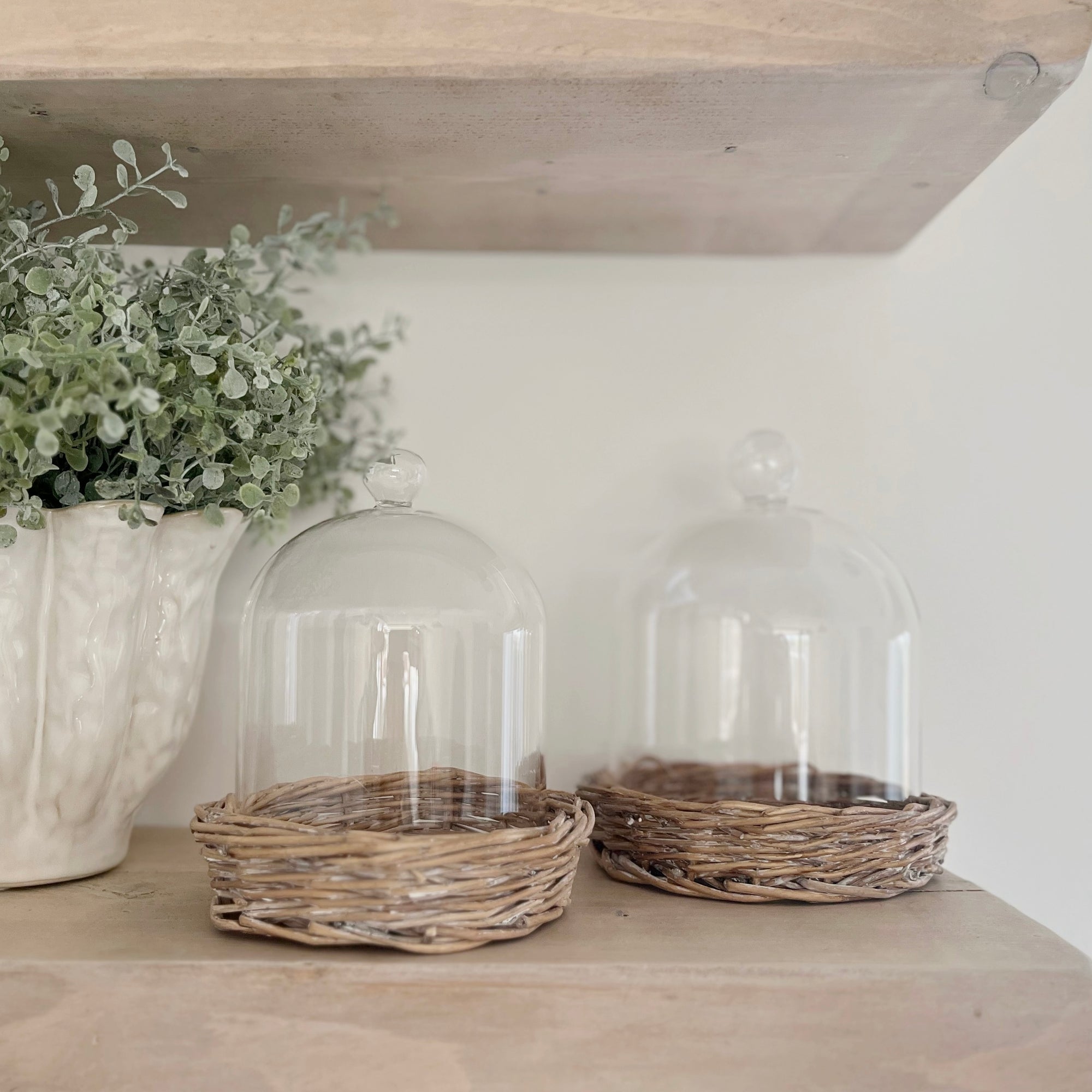 Large Cloche On Wicker Base
