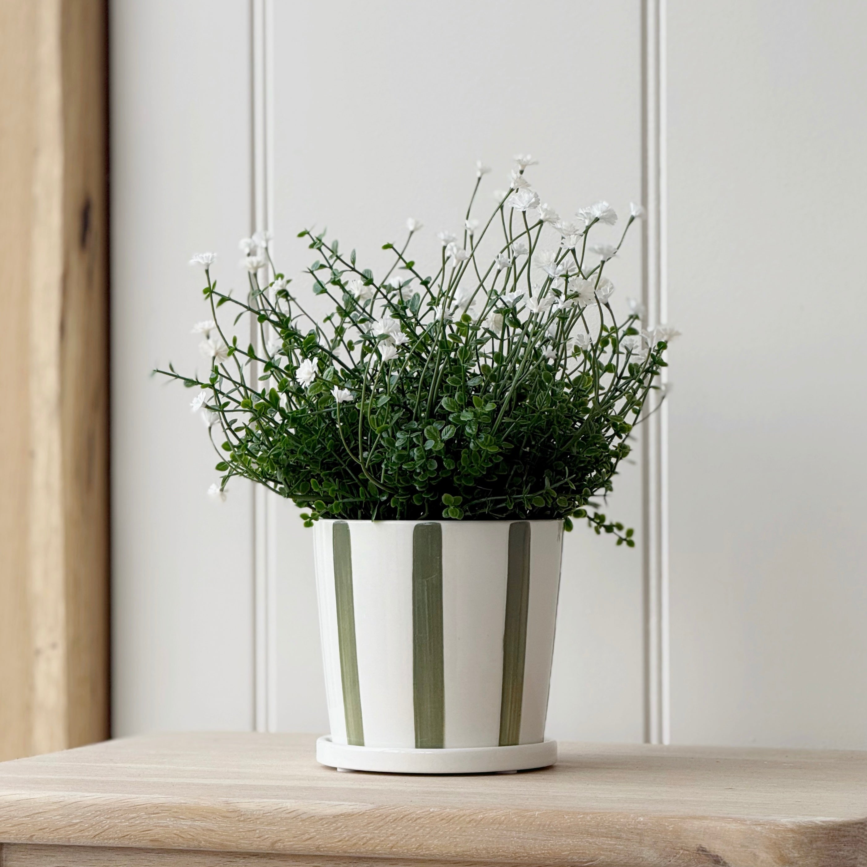 Striped Green Planter With Saucer