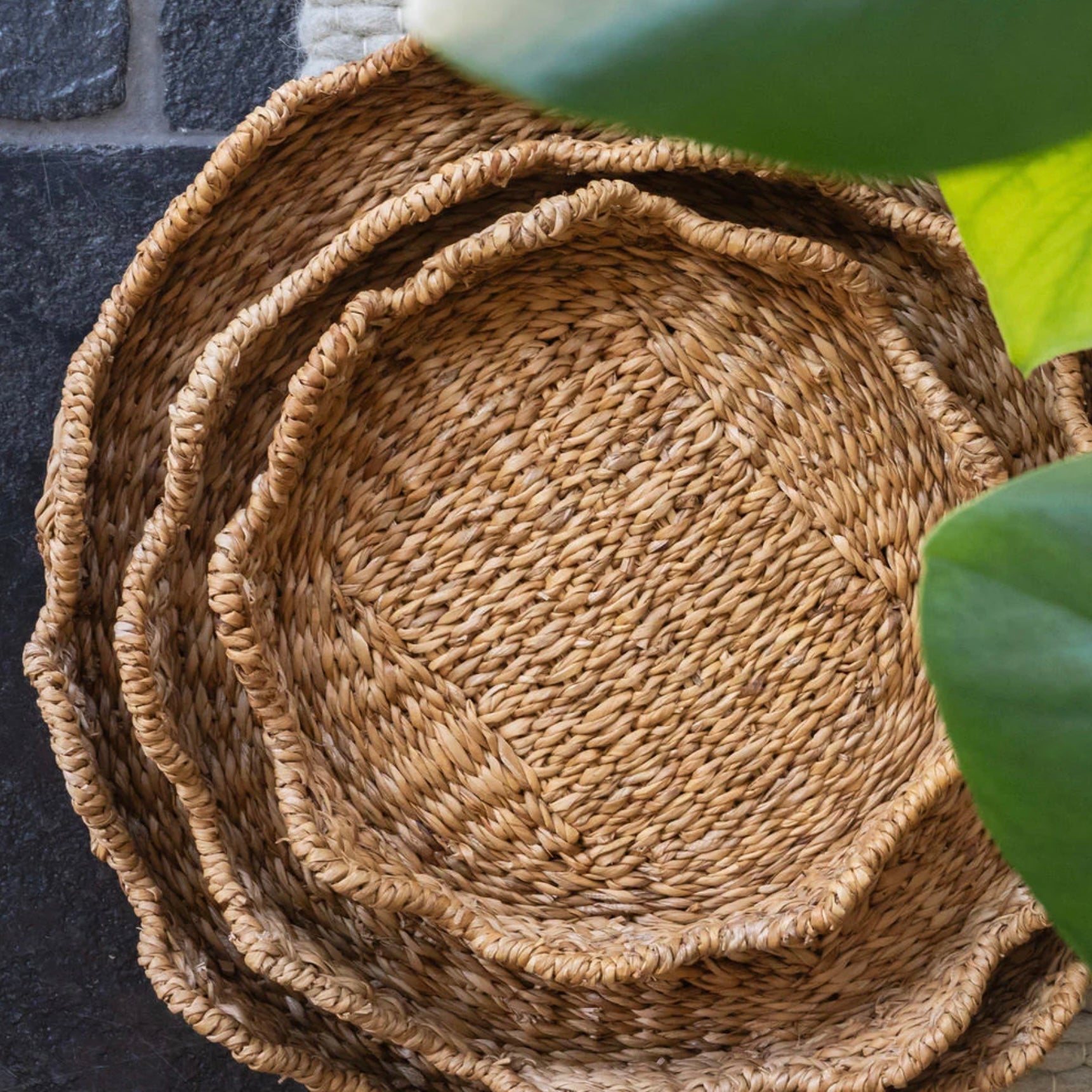 Scallop Lidded Storage Basket