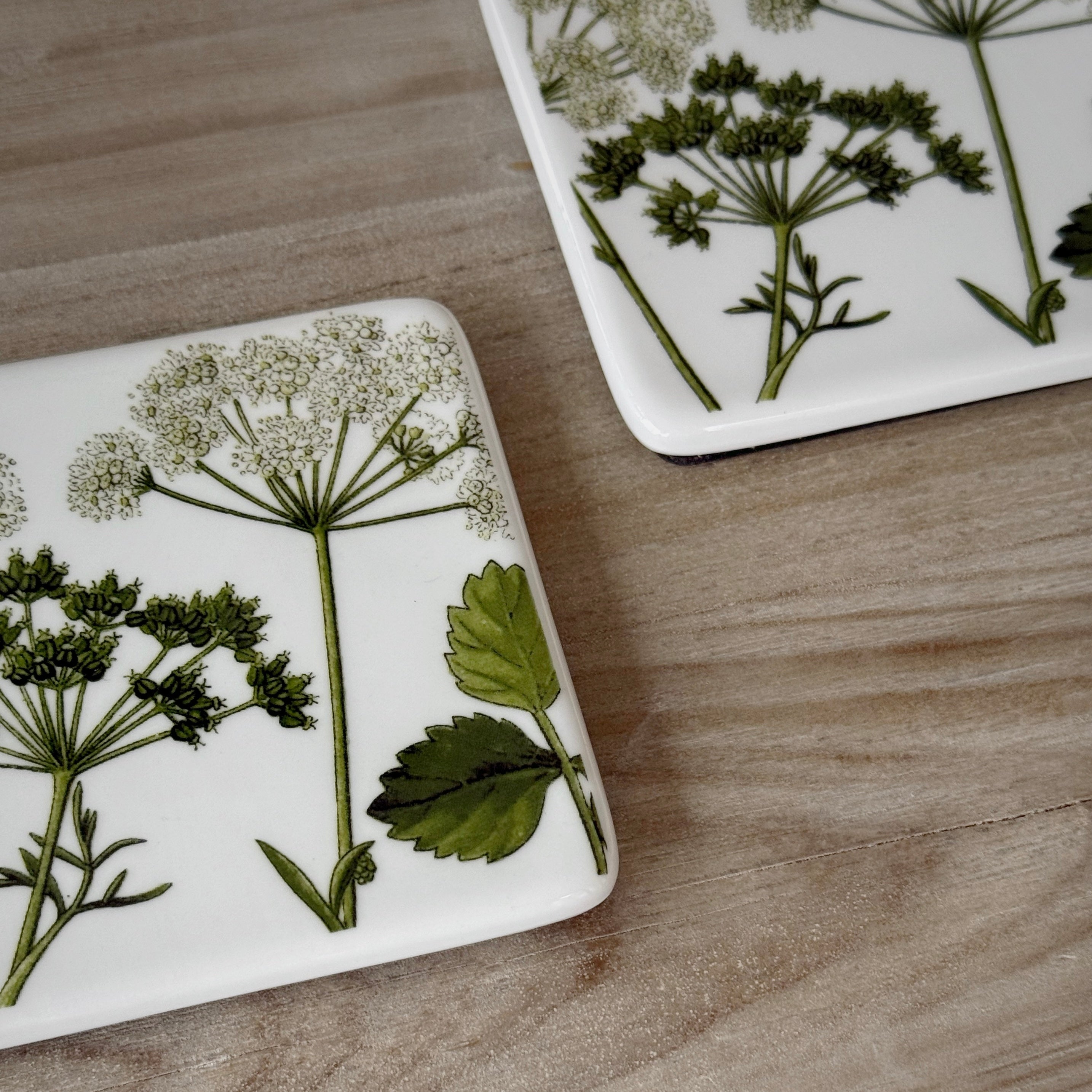 Set Of 2 Spring Hedgerow Coasters
