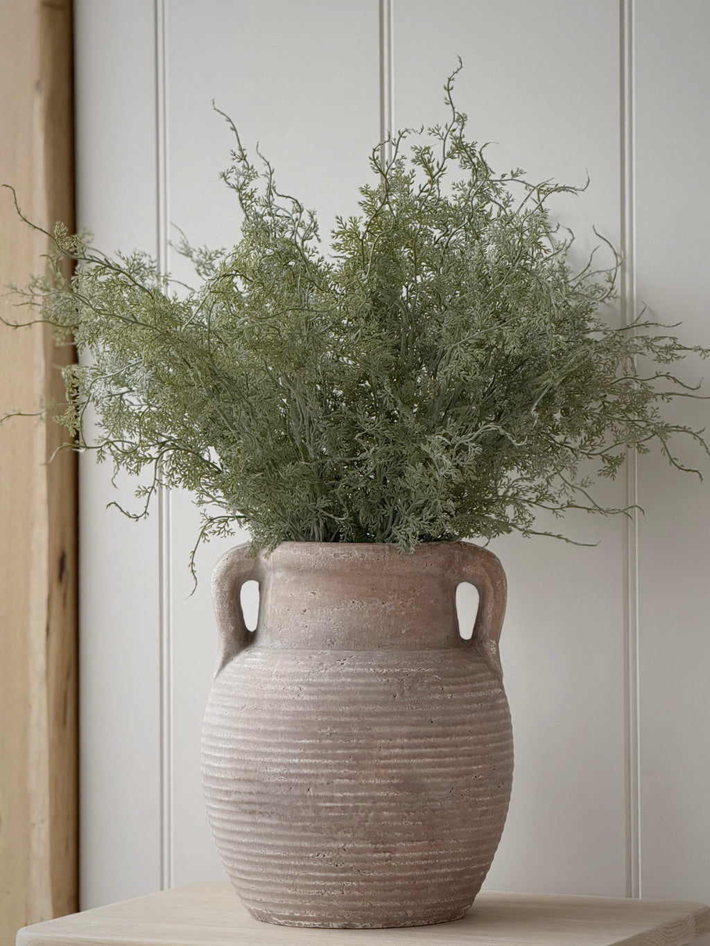 Asparagus Fern Bunch